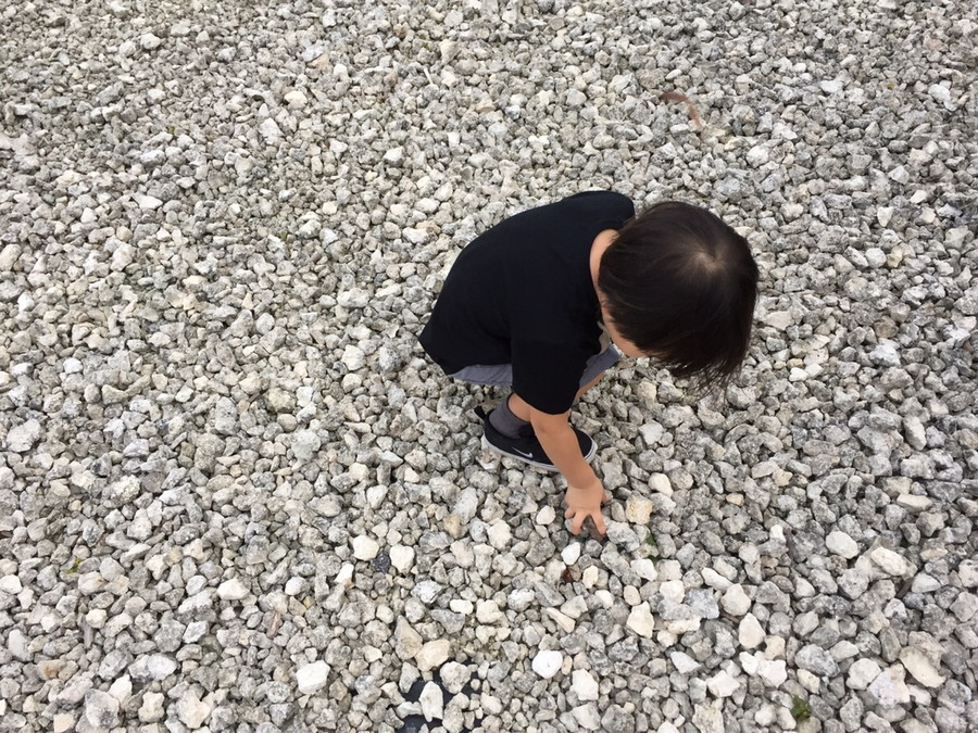 子ども